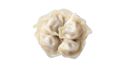 chinese dumplings isolated on white