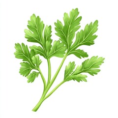 Fresh Parsley Sprig (1)