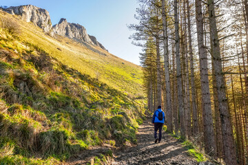 Hiker walking on a path in a forest by mount txindoki in basque country