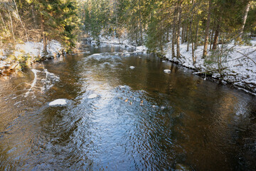 Ahja River in Estonia: A tranquil winter landscape with ducks and snowy banks.