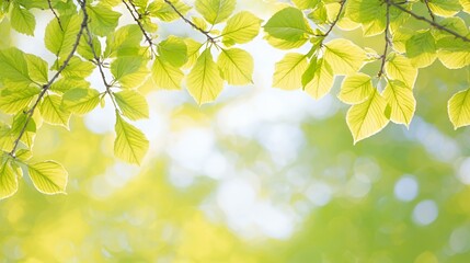 Obraz premium Bright Green Leaves on Branches Against a Soft Bokeh Background