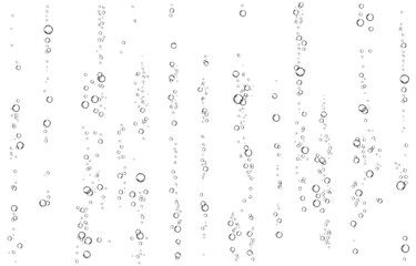 Oxygen air bubbles  flow  in water on white  background.