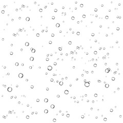 Oxygen air bubbles  flow  in water on white  background.