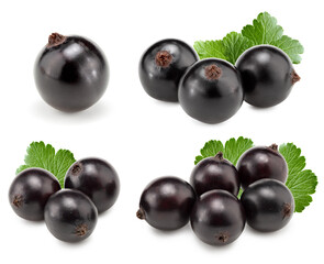 black currant with green leaves isolated on white background. macro. clipping path