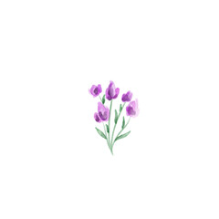 Illustration of an Watercolor Floral Flower