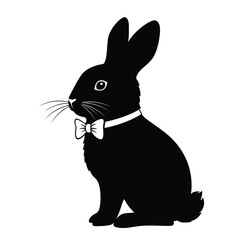 black and white rabbit