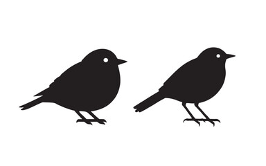 birds on a branch