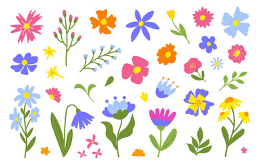 Floral set cute botanical elements on a white background. Spring and summer groovy flowers, leaves, branches. Vector illustration