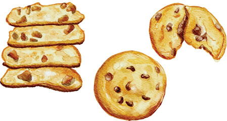 Cookies chocolate chip snack fudgy vector watercolor illustration hand drawn