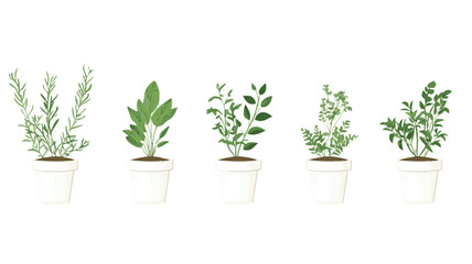 Colorful Floral Pattern with Abstract Flowers and Set of Autumn Leaves on White Background Art & Illustration