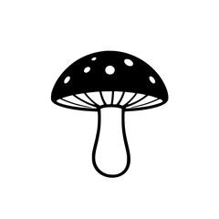 Black mushroom on white background.