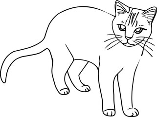 cat hand drawn for coloring page