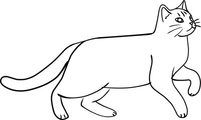 cat hand drawn for coloring page