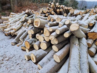 Brennholz im Winter