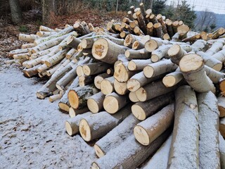 Brennholz für den Winter