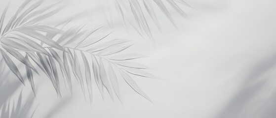 Tropical palm leaves shadows against a soft white background, minimalistic decor, nature aesthetics, neutral tones for interior design, modern wallpaper.