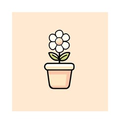 Illustration of white flowers in a simple planting pot