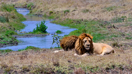 View of the Ngorongoro Crater National Park