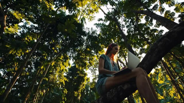 Digital Nomad Working in Southeast Asian Jungle: A Lush and Untamed Natural Paradise