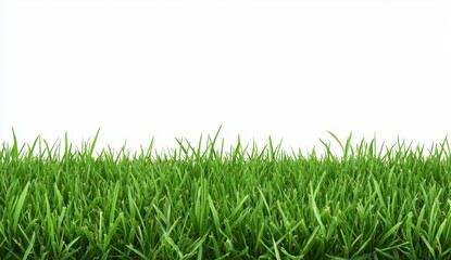 Obraz premium Vibrant Green Grass Blades on White Background