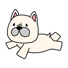 空を飛ぶフレンチブルドッグ