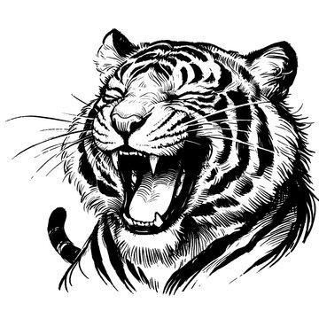 recommend clip art: tiger laugh line art drawing ink sketch xmas vector hand drawn illustration background