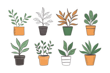 set of hand drawn plant in pot vector illustration