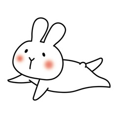 空を飛ぶ白いうさぎ