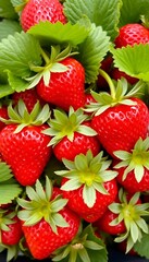 Detailed strawberry display with bright red color and fresh green leaves. Ideal for food backgrounds and fruit concepts.