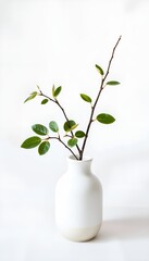 Minimalist display of a twig with green leaves in a white vase on a white table. Ideal for modern and natural home decor concepts.