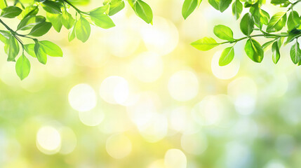 Fototapeta premium Soft-focus spring nature background with white blossoms, green leaves, and golden sunlight bokeh, creating a dreamy seasonal atmosphere perfect for floral themes, wedding invitations, spa designs