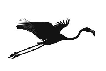 flamingo vector design, awesome flamingo ,high resolution printable flamingo artwork and Flamingo silhouette vector illustration Flamingo silhouette vector Silhouette Art & Illustration