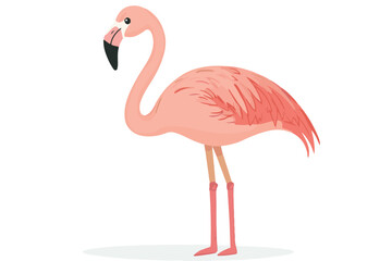 flamingo vector design, awesome flamingo ,high resolution printable flamingo artwork and Flamingo silhouette vector illustration Flamingo silhouette vector Silhouette Art & Illustration