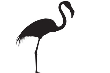 Fototapeta premium flamingo vector design, awesome flamingo ,high resolution printable flamingo artwork and Flamingo silhouette vector illustration Flamingo silhouette vector Silhouette Art & Illustration