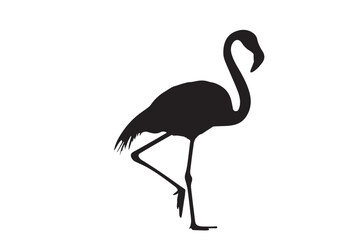 flamingo vector design, awesome flamingo ,high resolution printable flamingo artwork and Flamingo silhouette vector illustration Flamingo silhouette vector Silhouette Art & Illustration