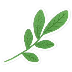 Green leaves sticker transparent png