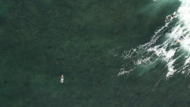 Surfing