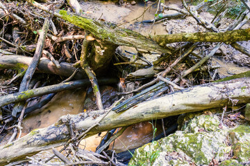 morning walks along the banks with a view of the river structure on a spring morning