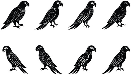 Parrot bird vector shilhouette bundle. Perched parrots and other birds. Macaw Bird Icon on Black and White Vector Backgrounds. Exotic Amazon Birds (Vector)