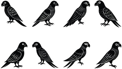Parrot bird vector shilhouette bundle. Perched parrots and other birds. Macaw Bird Icon on Black and White Vector Backgrounds. Exotic Amazon Birds (Vector)