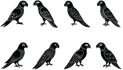 Parrot bird vector shilhouette bundle. Perched parrots and other birds. Macaw Bird Icon on Black and White Vector Backgrounds. Exotic Amazon Birds (Vector)