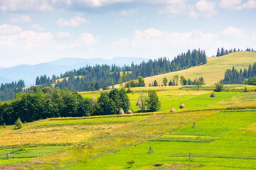 Obraz premium mountainous rural landscape on a sunny day. countryside scenery with lush trees, grassy fields, haystack and arable on the slope of a hill. fluffy clouds on the sky. vacation in alpine farmland