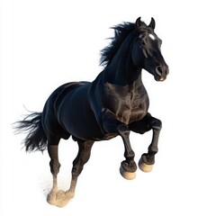 Obraz premium Majestic Black Horse in Mid-Air Pose on White Background