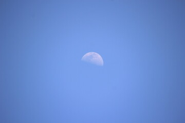 上弦の月　ハーフムーン