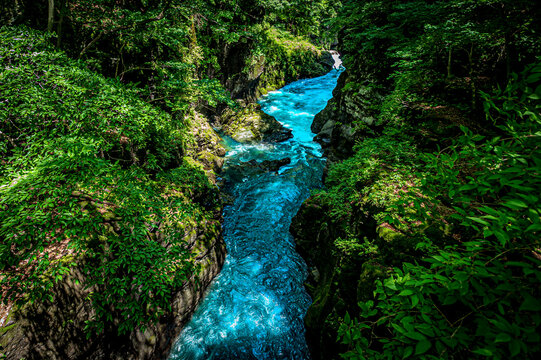 新緑と清流のコントラストが美しい吾妻渓谷