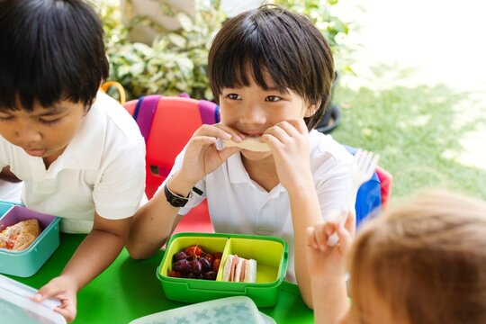 Children eating lunch outdoors, enjoying sandwich and grapes. Lunchtime with packed lunch. Kids having lunch, sharing a meal in a garden. Boy eating sandwich lunch box. Boy having lunch outdoor