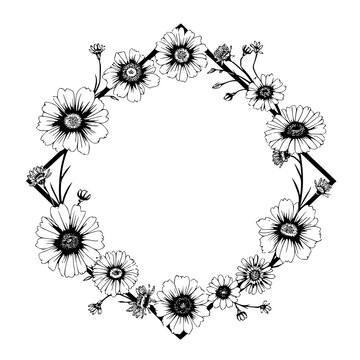 Elegant daisy-themed flower illustration framing a wreath-shaped daisy chain.