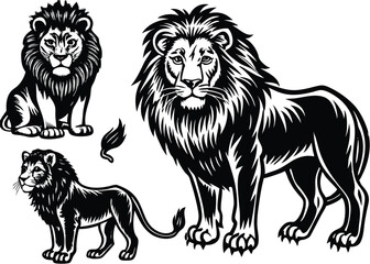 Obraz premium Lion Silhouette set black Vector design, Lion Illustration Vector animal set Design for Printing and Craft Projects