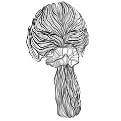 Black and white hairstyle drawing, loose ponytail with a scrunchie back view, minimalist haircut illustration