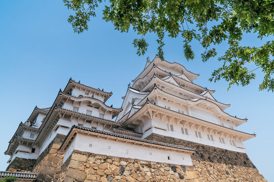 The majestic Himeji Castle stands against a bright blue sky, partially framed by green tree branches, highlighting the contrast between its white walls and natural surroundings.